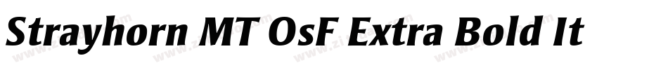 Strayhorn MT OsF Extra Bold Italic字体转换